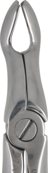 Berten type extraction forceps PLUS - 67A upper wisdom teeth
