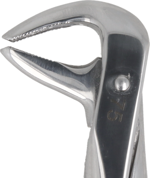 Berten type extraction forceps PLUS - 75 lower premolars