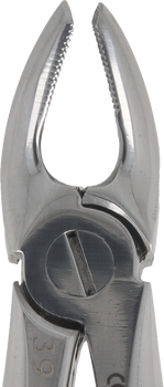 Berten type extraction forceps PLUS - 39 (children) upper molars