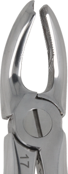 Berten type extraction forceps PLUS - 17 upper molars