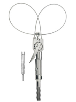 Double loop tip for prosthetic bridges removal