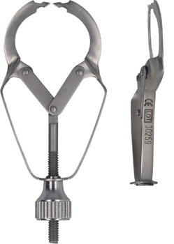 Ivory matrix retainer