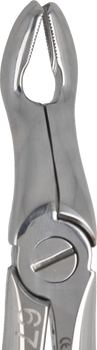 Berten type extraction forceps PLUS - 67 upper wisdom teeth