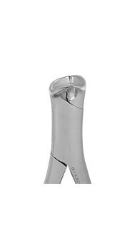 Kleszcze ekstrakcyjne Bertena - 151 dla psów / przednie, przedtrzonowe i korzenie dolne