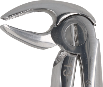 Berten type extraction forceps PLUS - 13 lower premolars