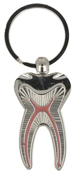 ENDO dental keychain