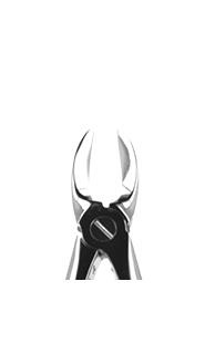 Berten type extracting forceps - 55C
