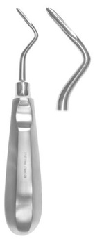 Flohr root elevator right