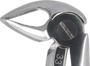 Berten type extraction forceps PLUS - 33 lower roots