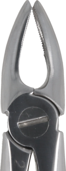 Berten type extraction forceps PLUS - 2 upper front