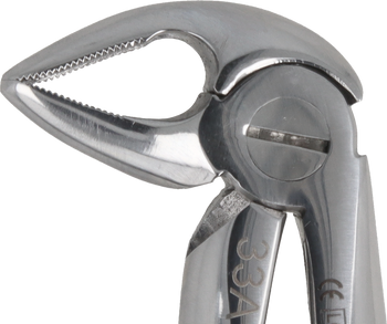 Berten type extraction forceps PLUS - 33A lower roots