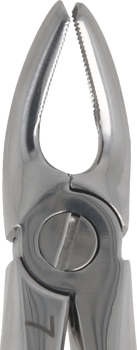 Berten type extraction forceps PLUS - 7 upper premolars