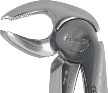 Berten type extraction forceps PLUS - 22  lower roots