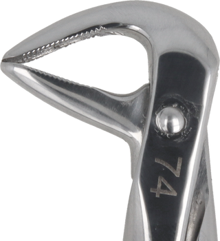 Berten type extraction forceps PLUS - 74 lower roots